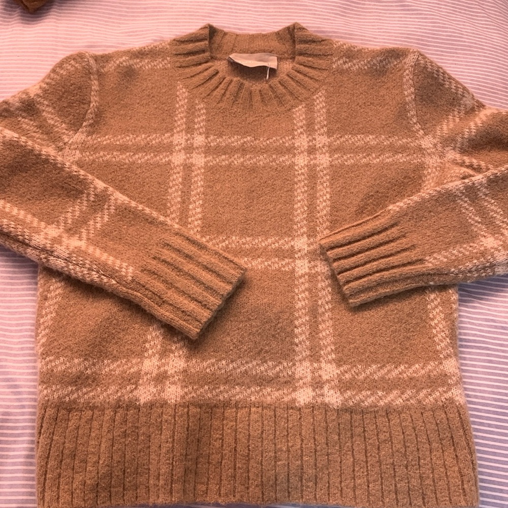 Everlane sweater NWOT